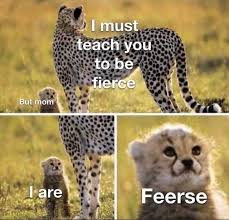 Pin On Memes And Lols