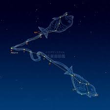 うお座（魚座）｜やさしい88星座図鑑