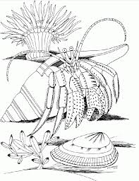 Coral fish coloring page from fish category. Coral Reef Coloring Pages For Kids Coloring Home
