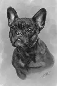 Realistic toy french bulldog puppy/dog 15 in(38 cm) made to order natalyapushkarevatoy $ 580.00 free shipping realistic toy french bulldog puppy/dog 11,4 in(29cm) made to order. Artstation French Bulldog Portrait Study Jeroen Gyesbreghs