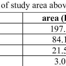 Image result for Pavetta gurueensis