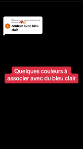 Image result for Bleu Clair 1988 ARO