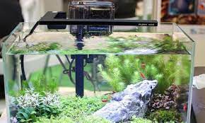 Water changes), keeping your fish safe for longer. Top 5 Best Nano Tank Filters For Your Aquarium Aquapros