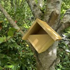Image result for Flyte Blackbird Nest Box