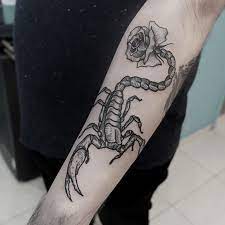 Scorpion Tattoo Ideas Topstoryfeed Sleeve Tattoos Scorpion Tattoo Arm Tattoos Scorpion