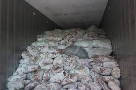 Pangolins have been turned into. Seizure Of 14 Tons Of Pangolin Scales In Singapore Sets A Dismal Record The New York Times