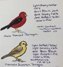 Yellow Birds Native To Georgia Su Free As A Bird Color Chart 2 Bird Stamp Stampin Up Cards Stamping Up Cards