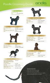 Poodle Cut Chart Goldenacresdogs Com