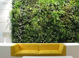Benefits Of Having A Wall Garden My Decorative