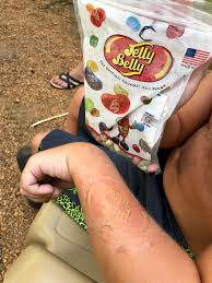 Cut tattoo as close to the edge of the design as possible. Jelly Belly Bug Spray Tattoos Album On Imgur