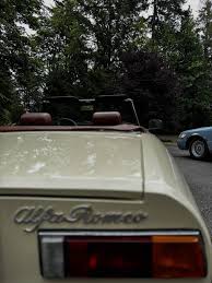 Image result for Avorio 1980 Alfa-Romeo