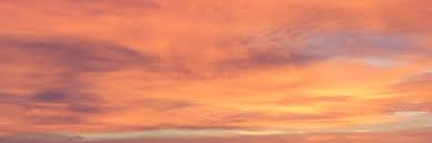 Ask an associate at a store near you or visit our homepage to see services available nationwide. All Obituaries Scott S Chapel Hill Mortuary Dothan Al Funeral Home And Cremation