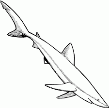 In this game, you need to show your skills in building a robot shark. Free Printable Shark Coloring Pages For Kids
