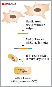 Learn vocabulary, terms, and more with flashcards, games, and other study tools. Gentechnik In Der Medizin Von Der Doppelhelix Bis Zur Gentherapie Pz Pharmazeutische Zeitung