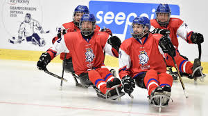 Český para hokej ретвитнул(а) para ice hockey. Skvely Uvod Domaciho Ms Para Hokejiste Pred 7 224 Fanousky Smetli Japonce Hokej Cz Web Ceskeho Hokeje