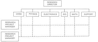 the matrix organization