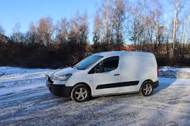 Image result for Brun Guaranja 2011 Citroen