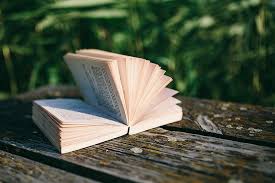 We did not find results for: Danau Buku Bacaan Musim Panas Buku Buku Catatan Terbuka Waktu Dermaga Tua Malam Jam Ajaib Dermaga Kayu Pxfuel