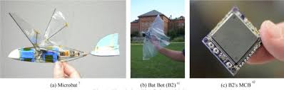 Batbot is a project wherein the researchers are attempting to mimic the biological structure of a bat wing for flight. Review On Bio Inspired Flight Systems And Bionic Aerodynamics Sciencedirect