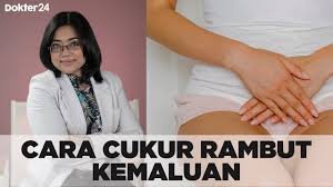 Sebelum itu, kamu bisa menyimak ulasan berikut ini, girls. Dokter 24 Cara Cukur Rambut Kemaluan Yang Tepat Youtube