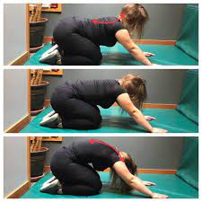 Jacpt is the official journal of the academy of acute care physical therapy of the american physical therapy association. Cat Camel Thoracic Mobility Burien Spine Sport Rehab Facebook