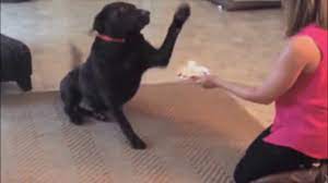 Happy birthday to the ground. Happy Birthday To The Ground Remix Youtube