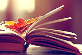 Curl up this fall with a book from a Minnesota author
