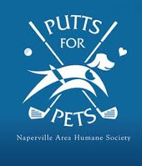 Jan 20, 2021 · chicago canine rescue foundation exists to give many of these animals a second chance at a forever family. 59 Shelter Events For Homeless Pets Ideas Homeless Pets Humane Society Pets