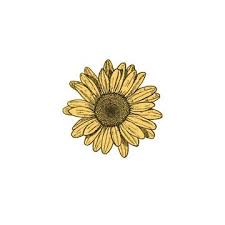 1001+ ideas for a gorgeous aesthetic wallpaper for phone and laptop. Aesthetic Photos With White Background Google Search