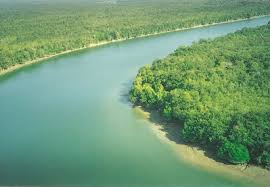 Sundarban - SEE BANGLADESH