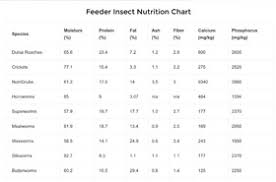 the most complete feeder insect nutrition chart the