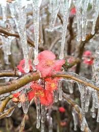 O sul do brasil tem uma verdadeira virada no tempo nas próximas 24 horas. Nova Frente Fria Derruba Temperaturas E Semana Pode Ter Neve No Sul