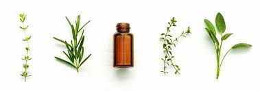 Knowing the popular and right essential oil brands on the market can help to identify which one will suit best for your needs. How To Sell Essential Oils Online In 2021 2 Unique Methods