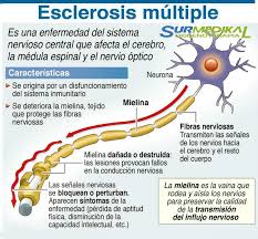 Maybe you would like to learn more about one of these? Surmedikal Oxigenoterapia Esclerosis Multiple Es Una Enfermedad Autoinmunitaria Que Afecta El Cerebro Y La Medula Espinal Sistema Nervioso Central Causas La Esclerosis Multiple Em Afecta Mas A Las Mujeres Que A