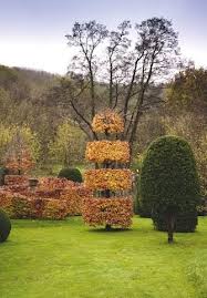 A Year At Allt Y Bela Garden Landscape Design Garden Hedges Urban Garden
