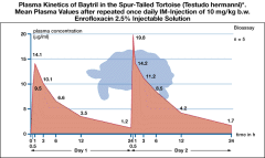 Baytril Exotics