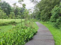 Save at least 10% on your new home purchase! Can You Walk In The Singapore S Windsor Nature Park In 2020