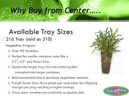 We did not find results for: Center Greenhouse Inc Liner Plug Program Broker Presentation Ppt Download