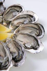 Oysters Oysters Oyster Recipes Food