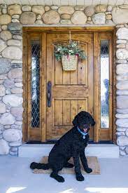 We did not find results for: Diy Front Door Floral Basket Wreath Walker Edison