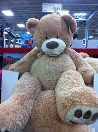 Its So What I Need Lets Innovate The Bear Teddy Bears Valentines Teddy Bear Gifts Teddy Bear