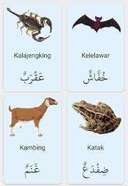 Adapun hewan buas, bahasa arabnya adalah (حَيَوَانٌ مُتَوَحِّشٌ), sedangkan hewan yang jinak, bahasa arabnya adalah (حَيَوَانٌ أَلِيْفٌ). Haiwan Dalam Bahasa Arab Nota Bahasa Arab Facebook