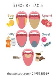 Image result for Taste Sensation