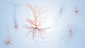 Unlocking the mystery of human nature. 5 Unsolved Mysteries About The Brain