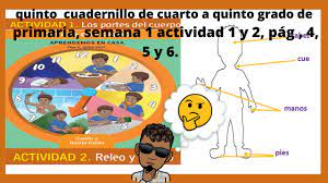 Compartimos con todos ustedes este cuadernillo de actividades matemáticas para 5° grado para el desarrollo de las actividades matemáticas en la escuela primaria, el cual es sin duda una excelente. Quinto Cuadernillo De Cuarto A Quinto Grado De Primaria Semana 1 Actividad 3 Y 4 Pag 7 8 Y 9 Youtube