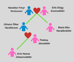 Last names as we know them are originally names that refer the individual's appearance, disposition, where they used to live and commonly their father's first name. Icelandic Names Why Is The Naming System Unique Iceland Travel