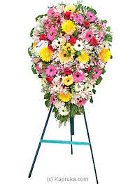 We did not find results for: Flower Republic Funeral Wreath C With Stand Price In Sri Lanka Flowers