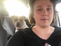 Ceaser The Staffy Service Dog