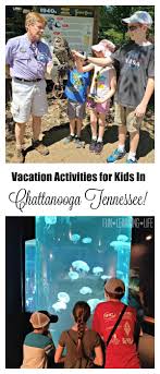 Chattanooga is perfect for family vacations! Vacation Activities For Kids In Chattanooga Tennessee Fun Learning Life