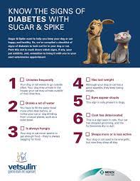 Maybe you would like to learn more about one of these? Diabetes In Pets Internal Medicine For Pet Parents